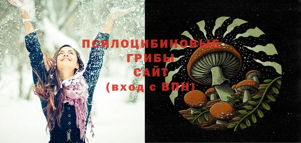 дмт Аркадак