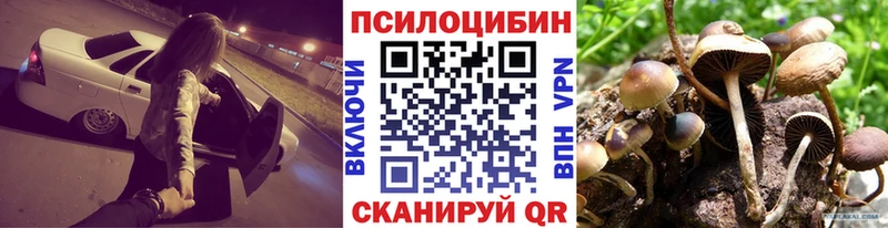 Псилоцибиновые грибы GOLDEN TEACHER  Купить  Знаменск 